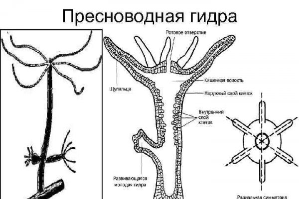 Сайты по продаже наркотиков