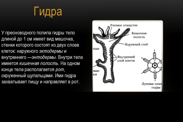 Ссылки на кракен мегу